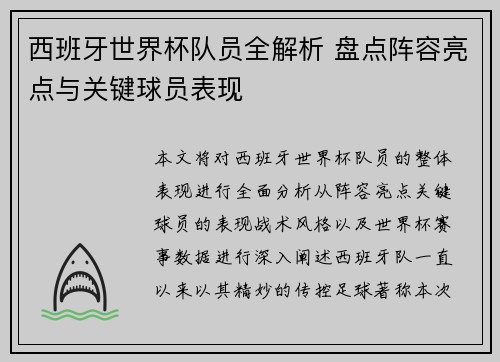 西班牙世界杯队员全解析 盘点阵容亮点与关键球员表现